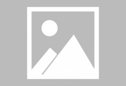 金沙河最新爆料消息,揭秘企业内部惊人内幕